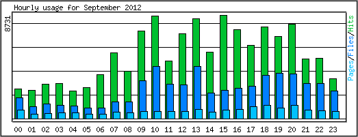 Hourly usage